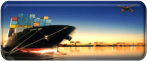Transport, logistics and freight forwarding